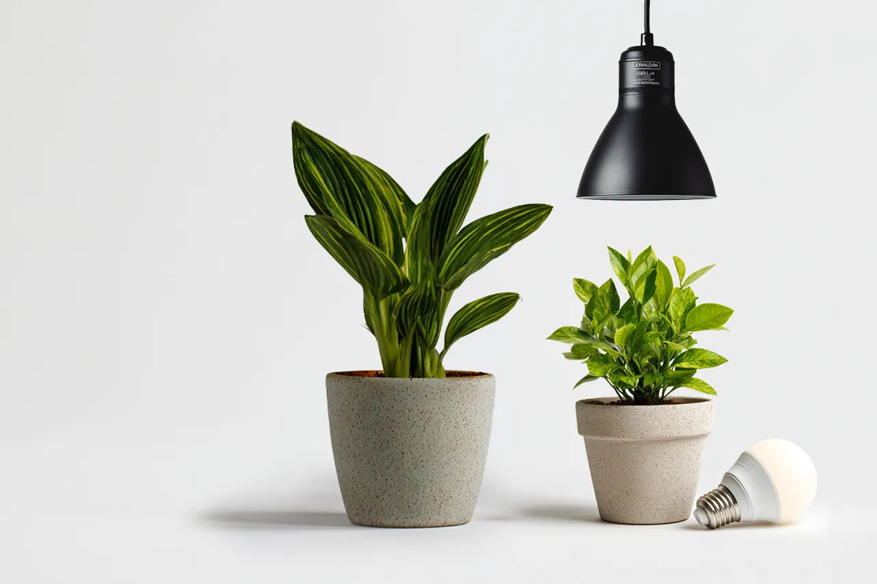 Pflanzenlampen