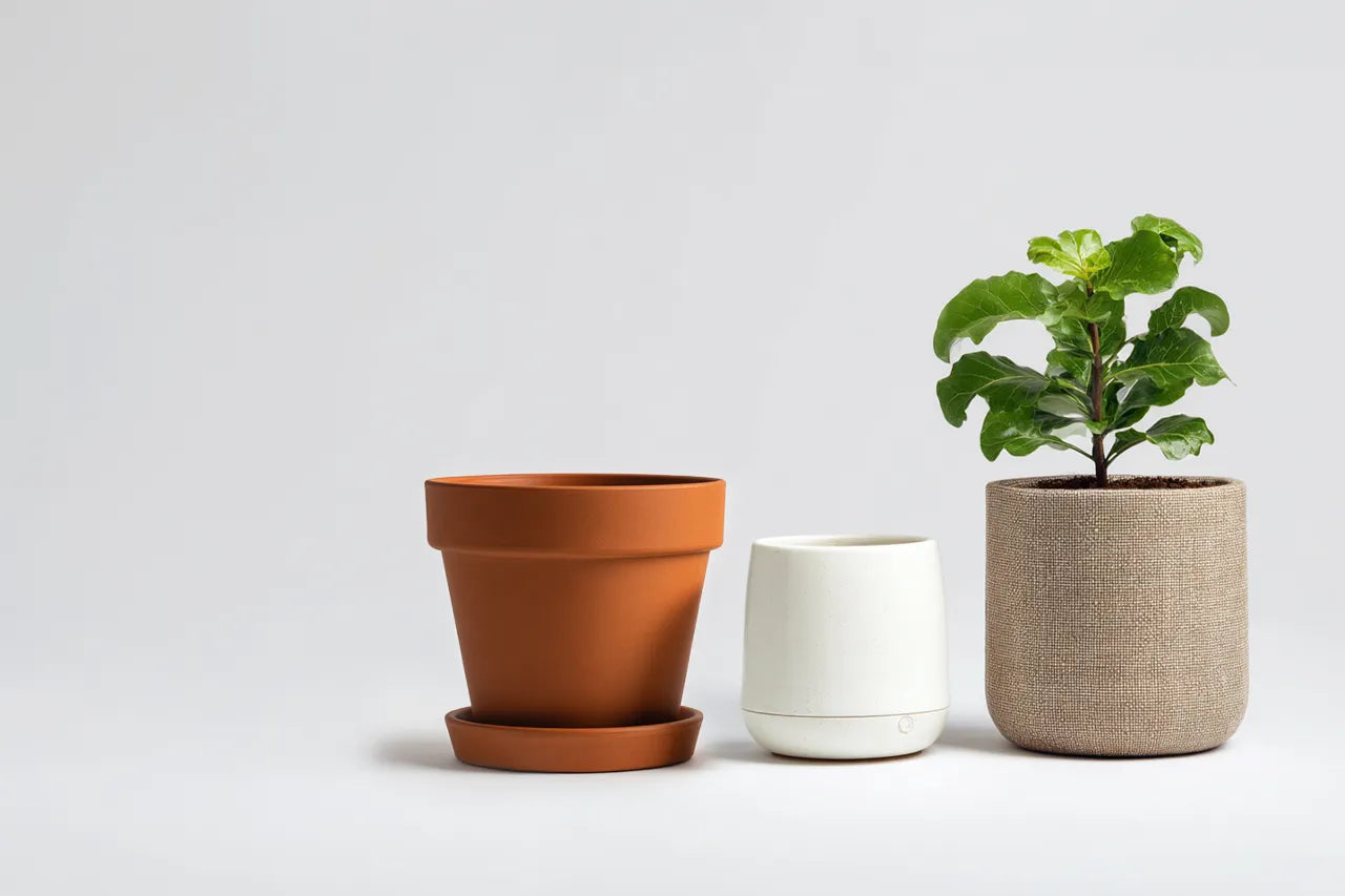 Pflanzentöpfe & Untersetzer