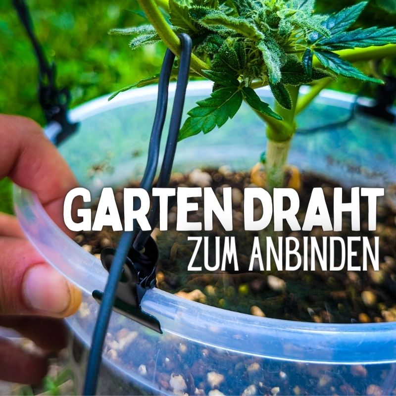 Garten Draht