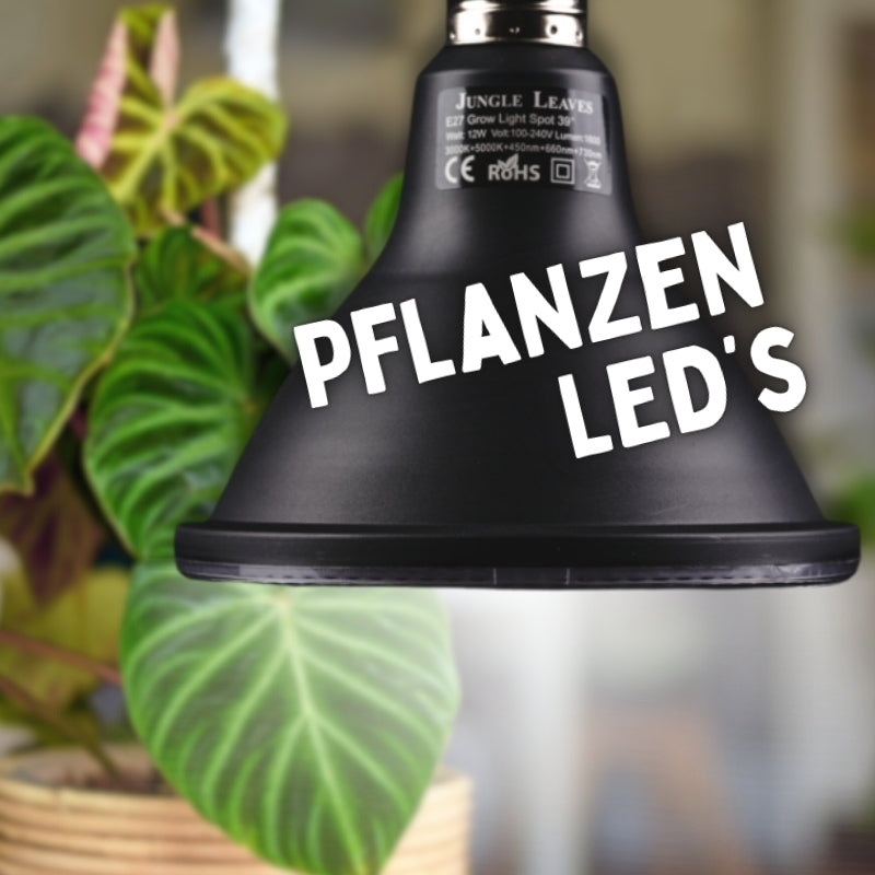 Pflanzen Lampen