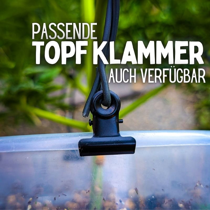 Garten Draht