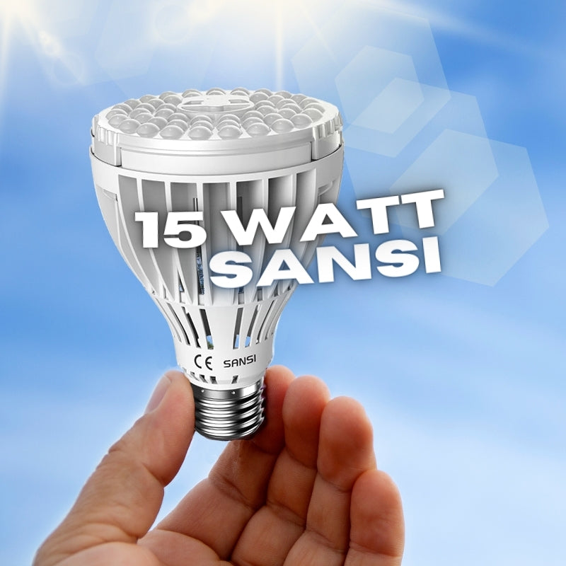 Hand hält Pflanzenlampe hoch. Hintergrund sonnig und blauer Himmel