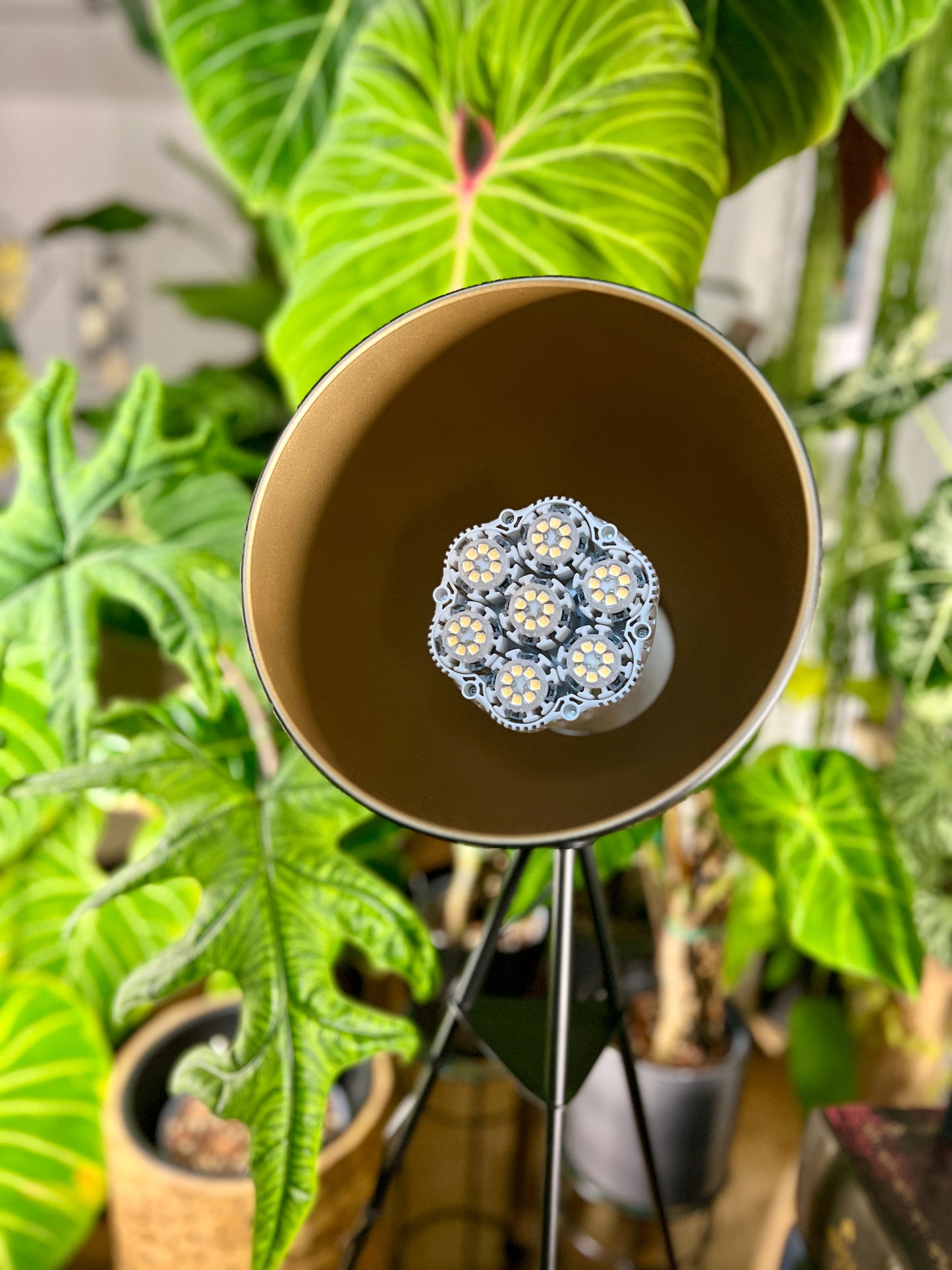 Pflanzenlampe Sansi LED