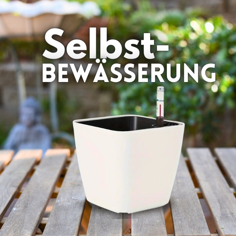Selbstbewsserungstopf (mit Gieanzeiger)
