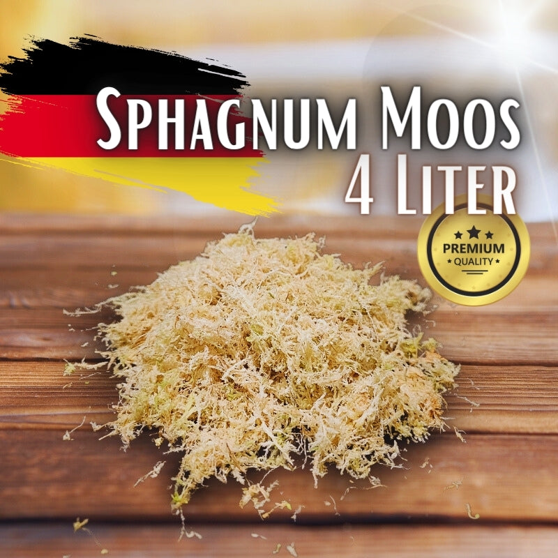 Sphagnum Moos - Muddis Rapunzel Moos aus Deutschland