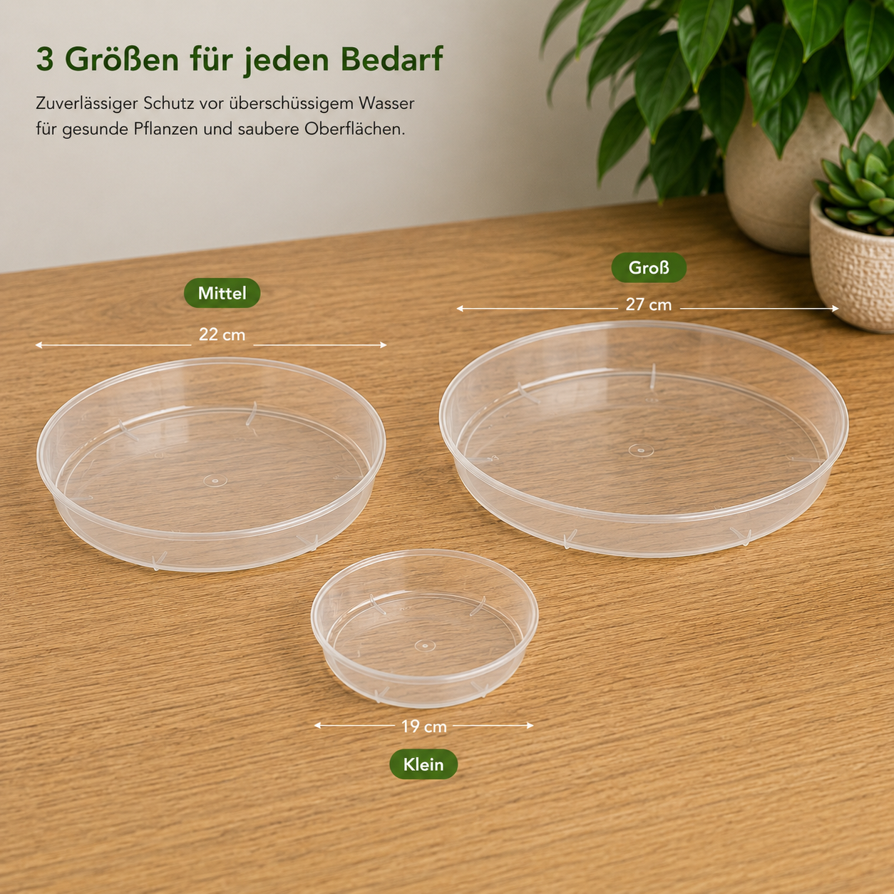 Transparente Pflanzentöpfe