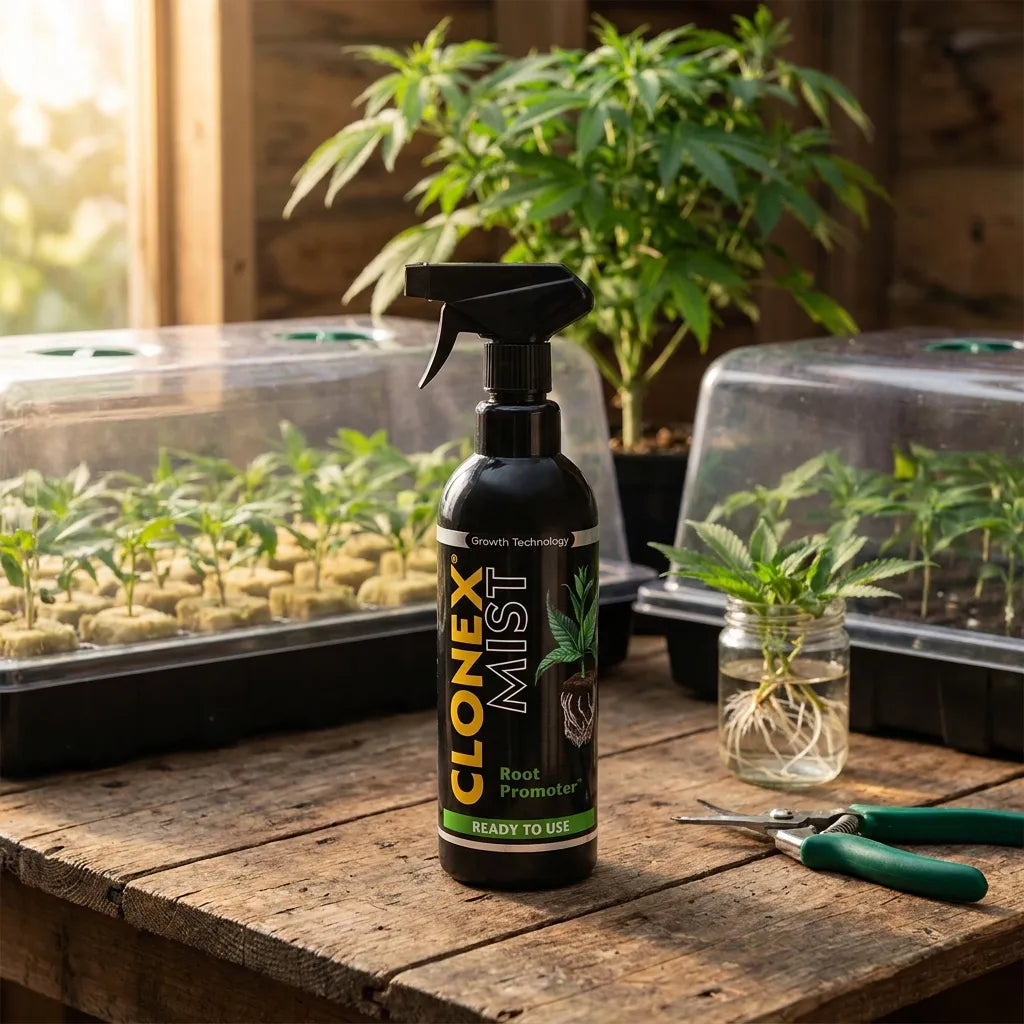 Clonex Mist Stecklingsspray