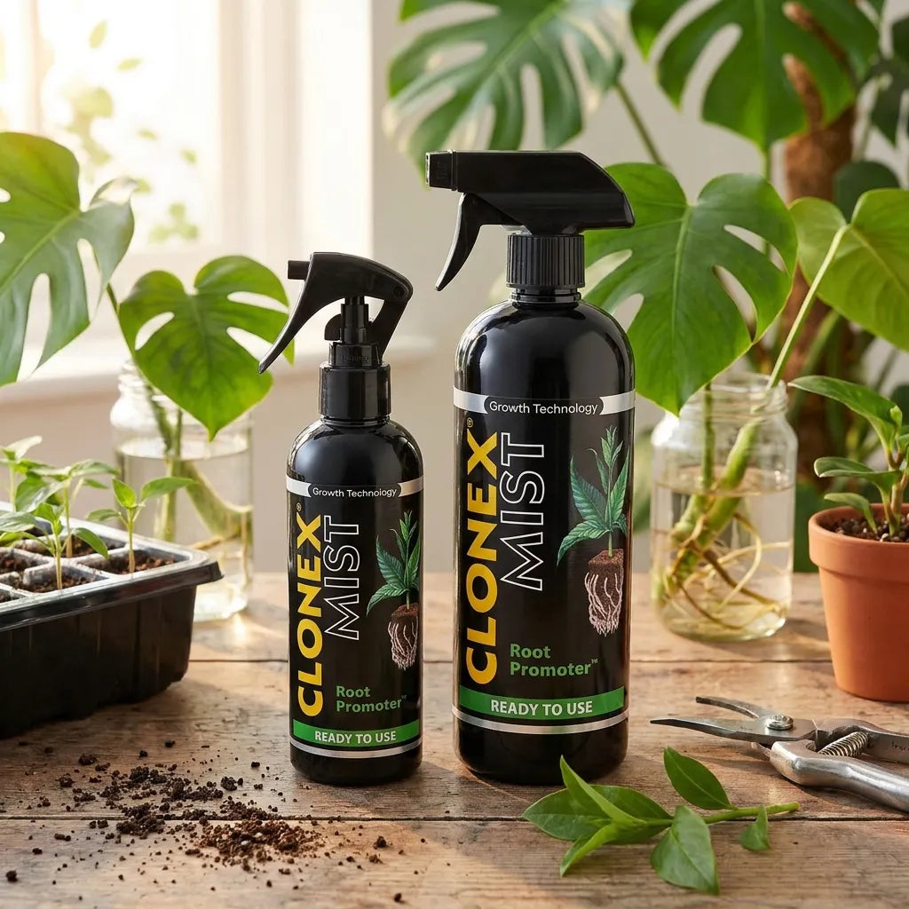 Clonex Mist Stecklingsspray