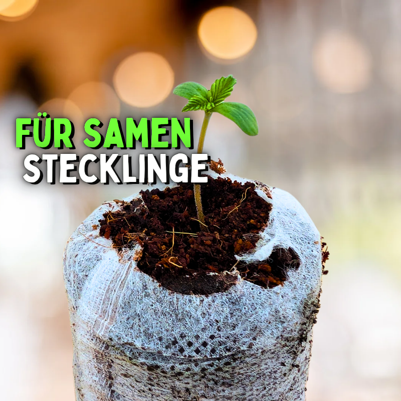 Anzucht Quelltopf 3er Set