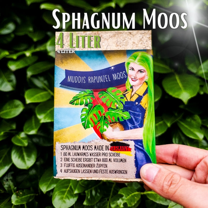 Sphagnum Moos - Muddis Rapunzel Moos aus Deutschland