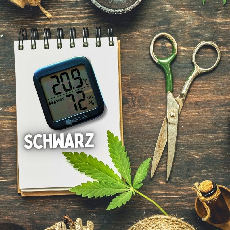 Thermometer & Hygrometer