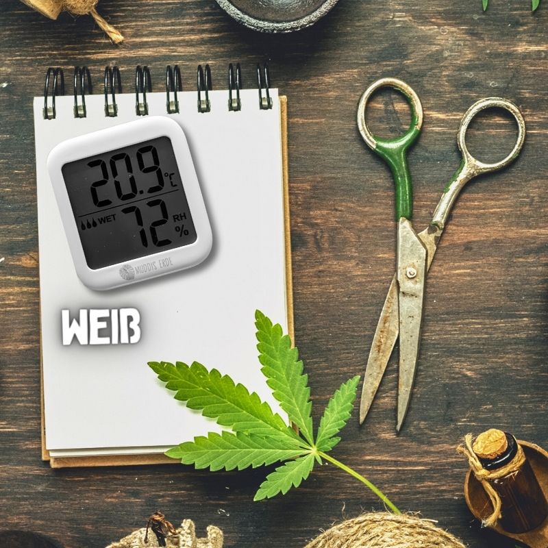 Thermometer & Hygrometer