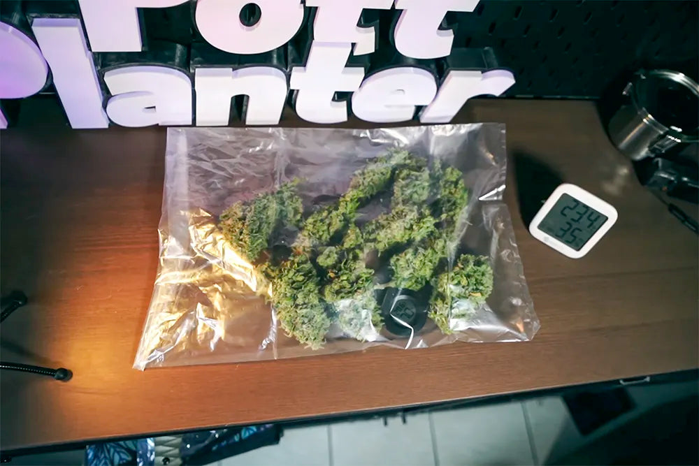 Richtig trocknen leicht gemacht: Entspannt zur perfekten Ernte mit dem Dryferm Bag