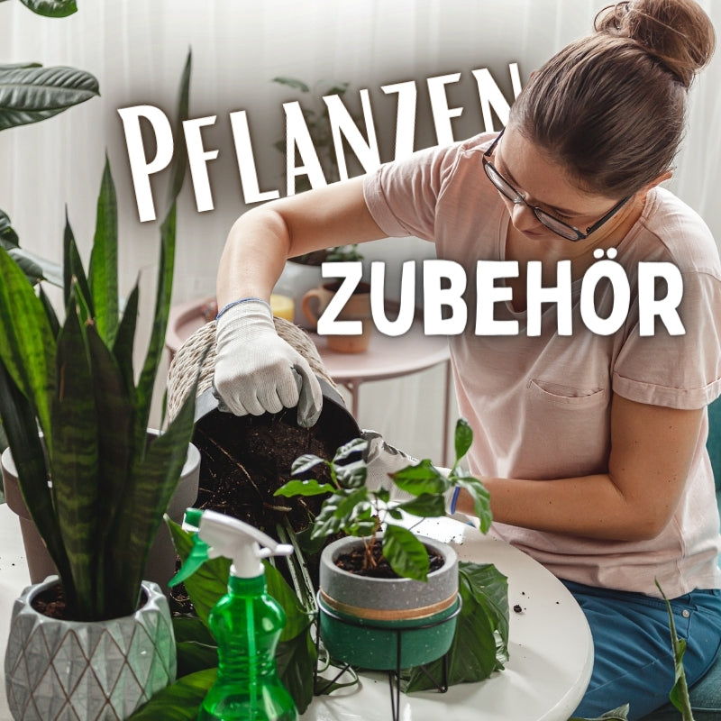 Muddis Zubehör