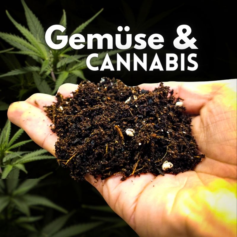 Nutzpflanzen- und Gartenanzucht Erde