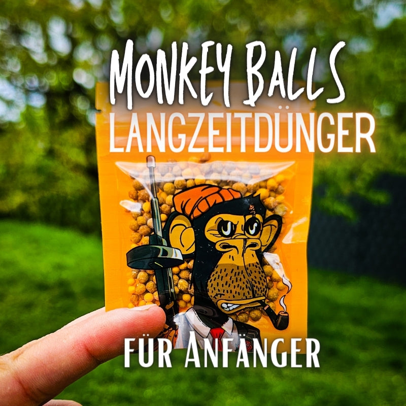 Muddis Monkey Balls (Dünger)