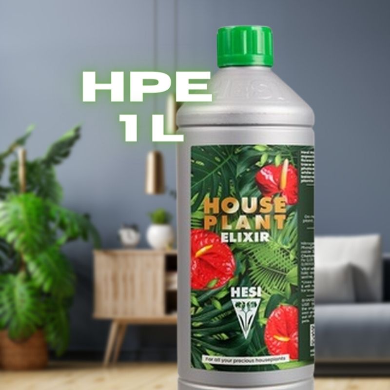 HPE-kaufen