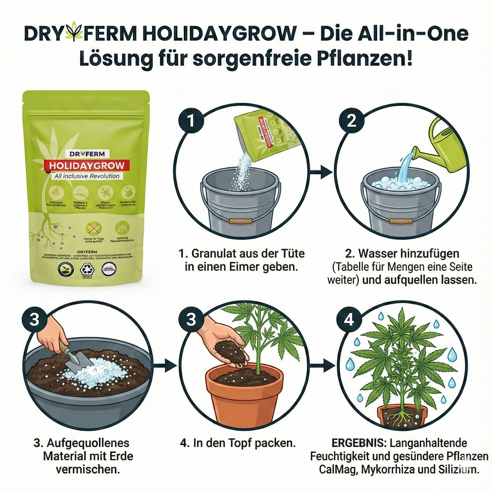 Holidaygrow – von DryFerm | Pflanze richtig gießen