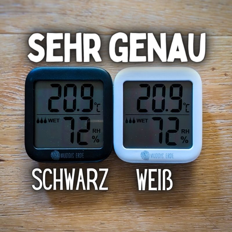 Thermometer & Hygrometer