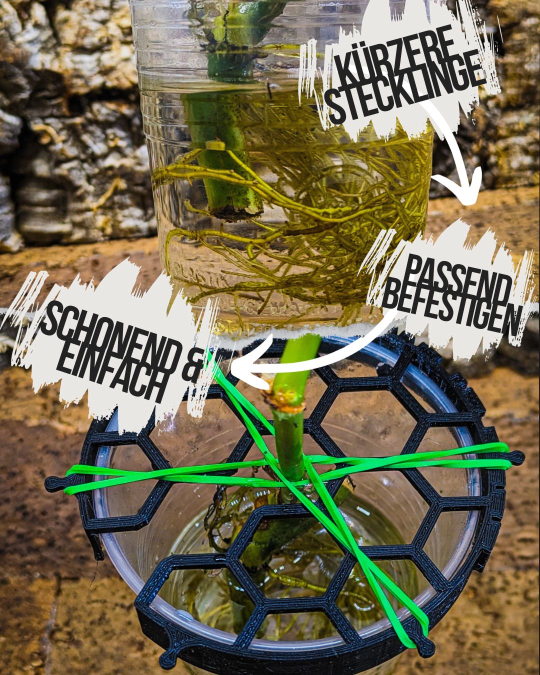 Stecklingshalter-Pott-planter