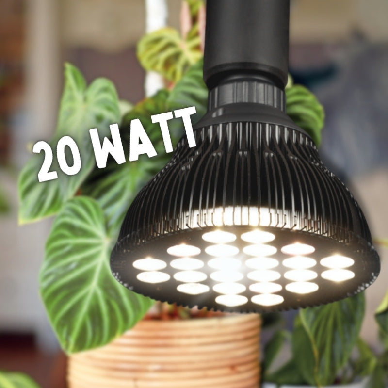 Pflanzen Lampen