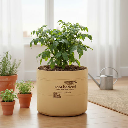 Sorglos Starter Set – Organic Bundle