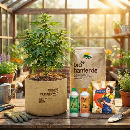 Sorglos Starter Set – Organic Bundle