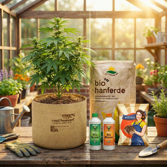 Sorglos Starter Set – Organic Bundle