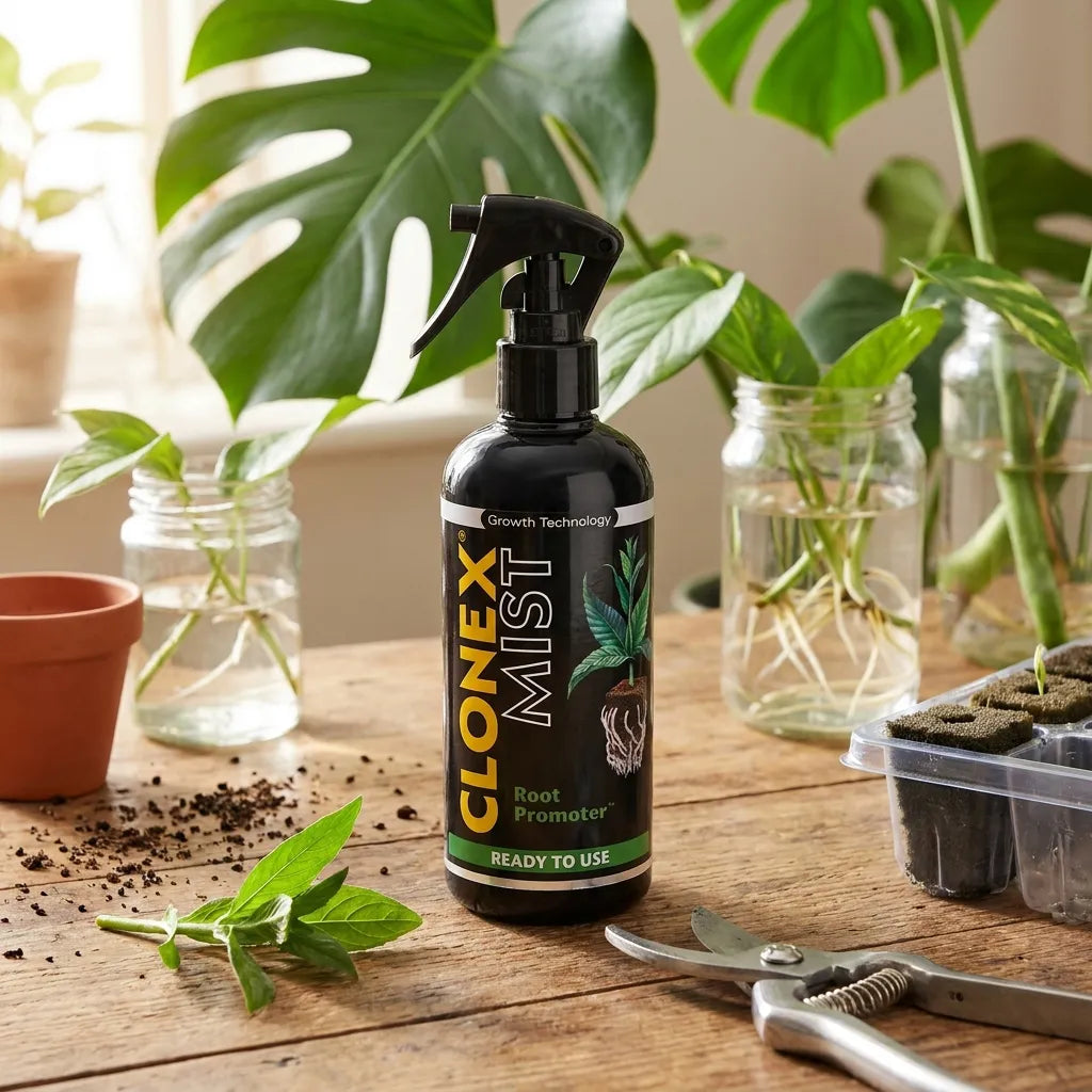Clonex Mist Stecklingsspray