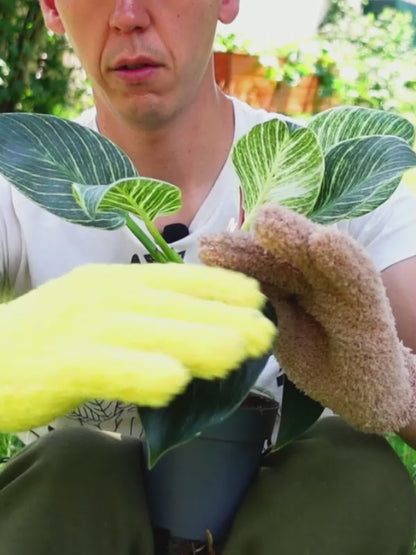 Mikrofaser Handschuhe (effektive Blattreinigung)