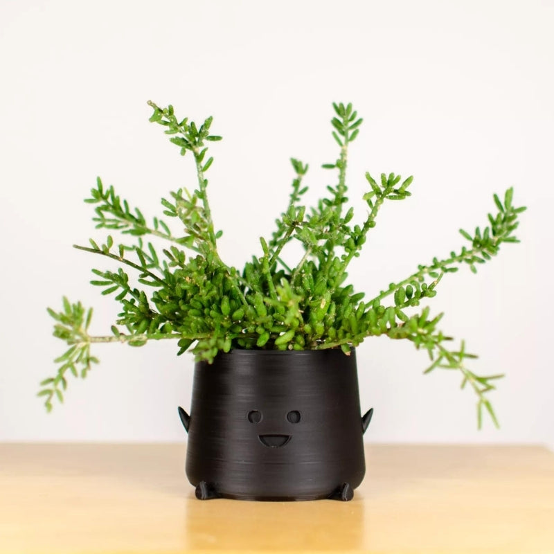 Mini Topf "Smira Smiles" PlantMe